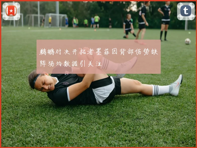 鹈鹕对决开拓者墨菲因背部伤势缺阵场均数据引关注